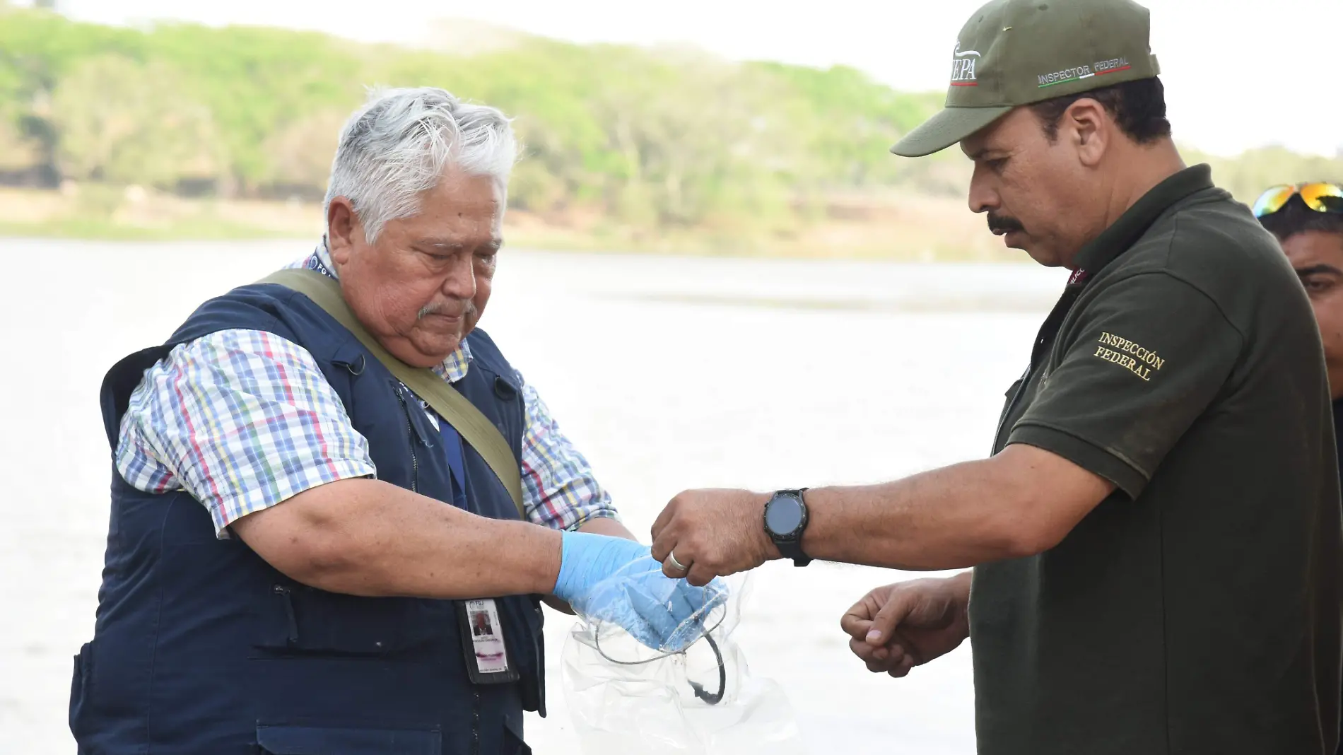 Muerte de cocodrilo desata investigación federal en laguna El Charro de Tampico